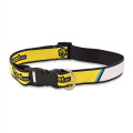 Dog Collar Sublimated
