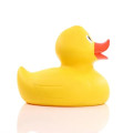 Jumbo Duck