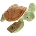 5" Mini Eco Turtle