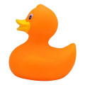 Rubber Duck