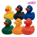 Rubber Duck