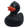 Rubber Duck