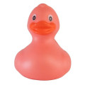 Rubber Duck
