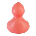 Rubber Duck