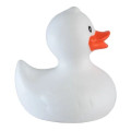 Rubber Duck