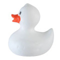 Rubber Duck