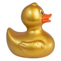 Rubber Duck