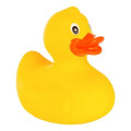 Rubber Duck