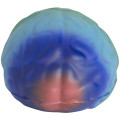 Rainbow Brain Stress Reliever