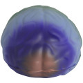Rainbow Brain Stress Reliever