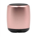 Bluetooth Aluminum Speaker