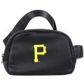 Everywhere Belt Bag / Fanny Pack