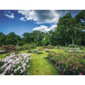 Triumph® Calendars New England Calendar