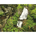 Triumph® Calendars New England Calendar