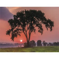 Triumph® Calendars New England Calendar