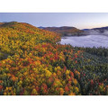 Triumph® Calendars New England Calendar