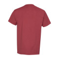 ComfortWash by Hanes Women's Garment-Dyed V-Neck T-Shirt