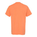 ComfortWash by Hanes Women's Garment-Dyed V-Neck T-Shirt