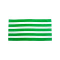 Carmel Towel Company Cabana Stripe Velour Beach Towel