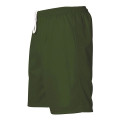 Alleson Athletic Men's Mesh Shorts