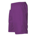 Alleson Athletic Men's Mesh Shorts