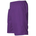 Alleson Athletic Men's Mesh Shorts