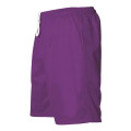Alleson Athletic Men's Mesh Shorts