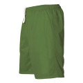 Alleson Athletic Men's Mesh Shorts