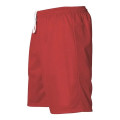 Alleson Athletic Men's Mesh Shorts