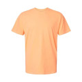 Comfort Colors Unisex Garment-Dyed Heavyweight T-Shirt