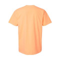 Comfort Colors Unisex Garment-Dyed Heavyweight T-Shirt