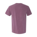 Comfort Colors Unisex Garment-Dyed Heavyweight T-Shirt