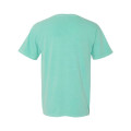 Comfort Colors Unisex Garment-Dyed Heavyweight T-Shirt
