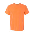 Comfort Colors Unisex Garment-Dyed Heavyweight T-Shirt