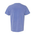 Comfort Colors Unisex Garment-Dyed Heavyweight T-Shirt