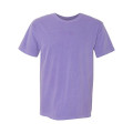 Comfort Colors Unisex Garment-Dyed Heavyweight T-Shirt