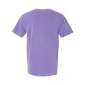 Comfort Colors Unisex Garment-Dyed Heavyweight T-Shirt