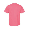 Comfort Colors Unisex Garment-Dyed Heavyweight T-Shirt