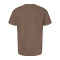 Comfort Colors Unisex Garment-Dyed Heavyweight T-Shirt