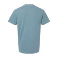 Comfort Colors Unisex Garment-Dyed Heavyweight T-Shirt