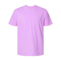 Comfort Colors Unisex Garment-Dyed Heavyweight T-Shirt
