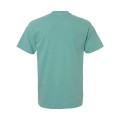 Comfort Colors Unisex Garment-Dyed Heavyweight T-Shirt