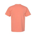 Comfort Colors Unisex Garment-Dyed Heavyweight T-Shirt