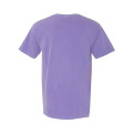 Comfort Colors Unisex Garment-Dyed Heavyweight T-Shirt