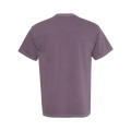 Comfort Colors Unisex Garment-Dyed Heavyweight T-Shirt
