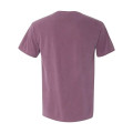 Comfort Colors Unisex Garment-Dyed Heavyweight T-Shirt