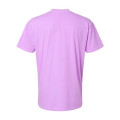 Comfort Colors Unisex Garment-Dyed Heavyweight T-Shirt