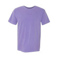 Comfort Colors Unisex Garment-Dyed Heavyweight T-Shirt