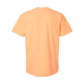 Comfort Colors Unisex Garment-Dyed Heavyweight T-Shirt