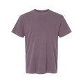 Comfort Colors Unisex Garment-Dyed Heavyweight T-Shirt